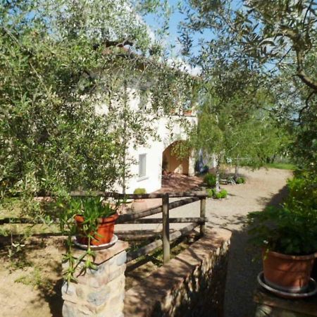 Gasthaus Casa Le Betulle Montespertoli Exterior foto
